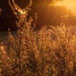 Curt Lang Profile Picture