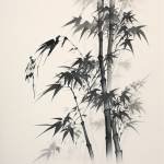 qin lang Profile Picture