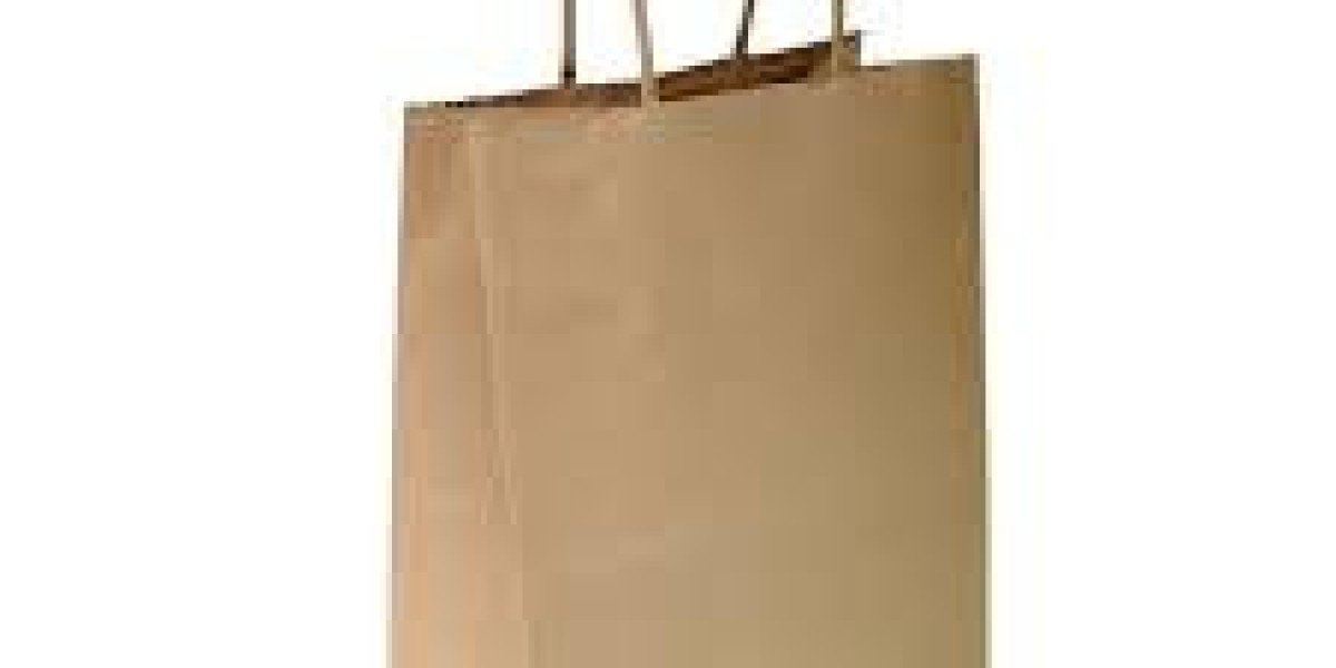 Premium Paper Shopping Bags for Retail Growth by Hldpacking