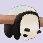 Xin Sheng Profile Picture