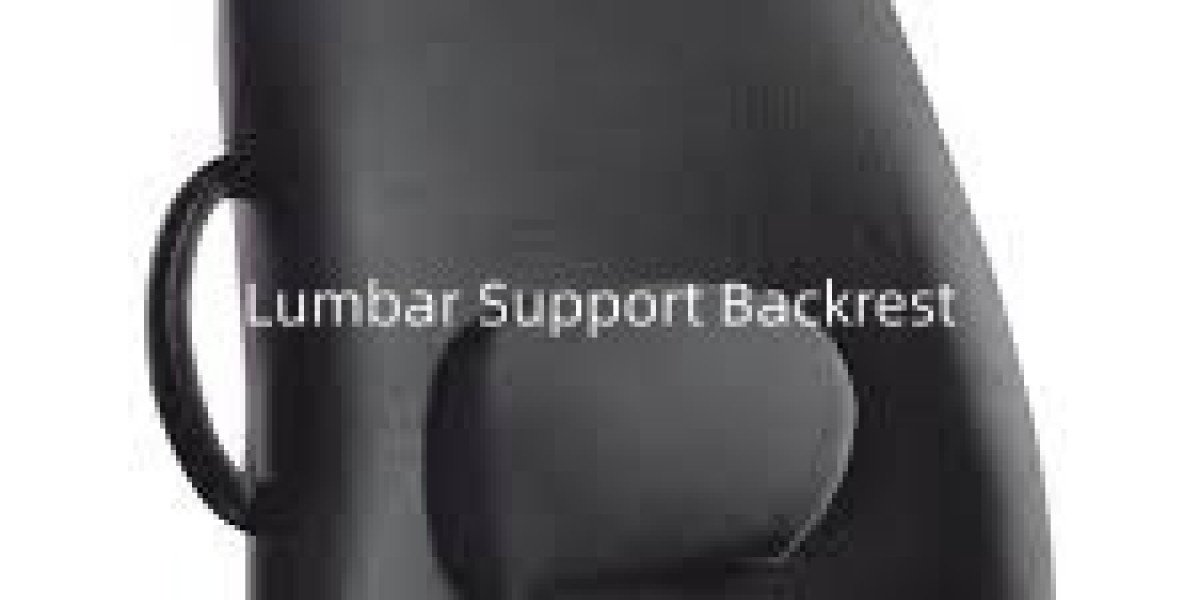 Yiyoubao Lumbar Support Backrest Options For Office And Travel