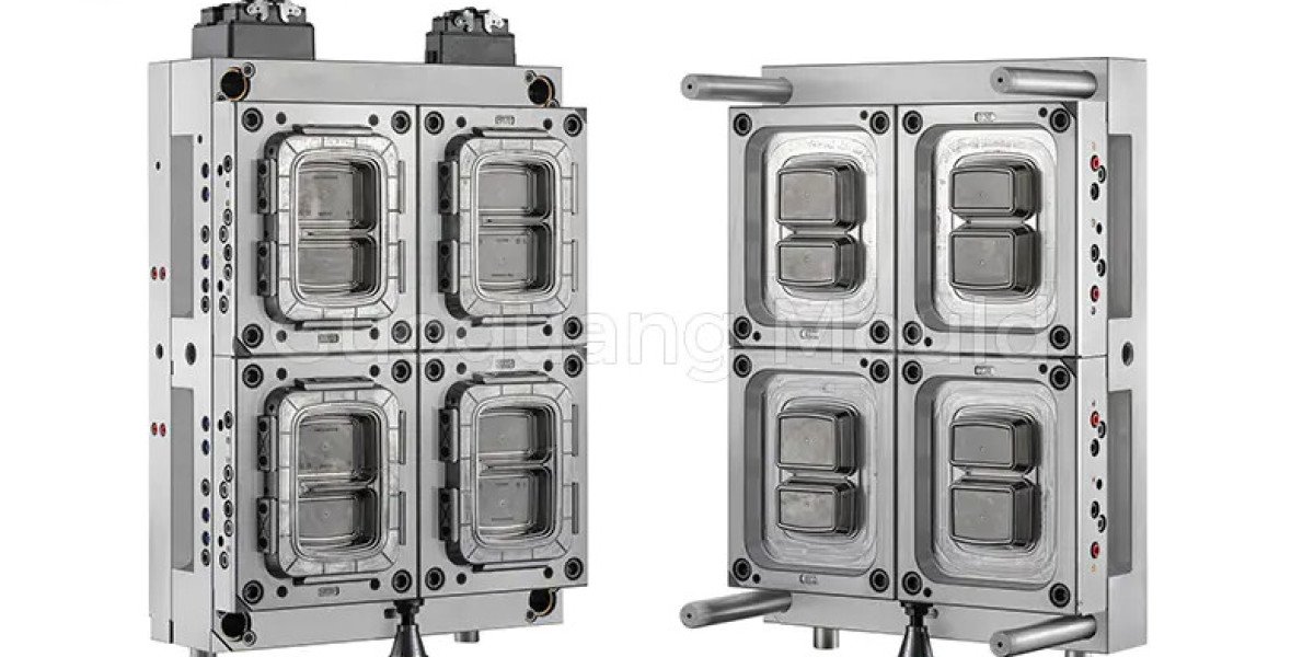 Plastic Hot Soup Packaging Box Mould Maker Insights